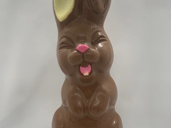 Chocolade paashaas groot